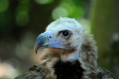 DSC_4598.jpg