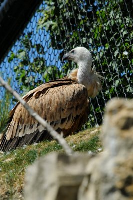 DSC_4606.jpg