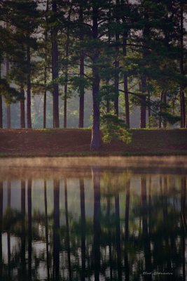 Morning at the Lake