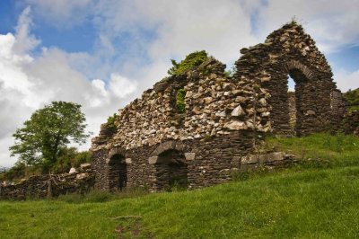 Ruins of an old Irish Homestead.jpg
