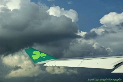 Aer Lingus.jpg