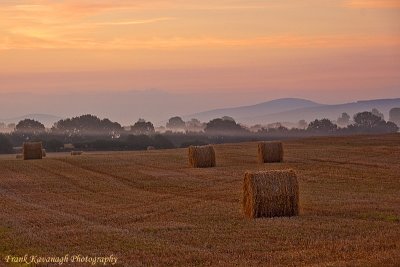 Misty Morning.jpg