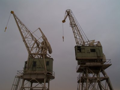 Cranes 1