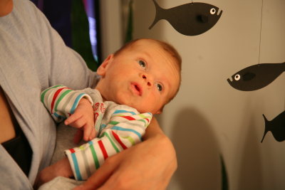 g1/45/943645/3/125810434.RVpwfR8E.jpg