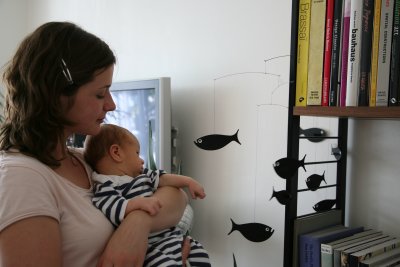 g1/45/943645/3/125810443.ifVNPtge.jpg
