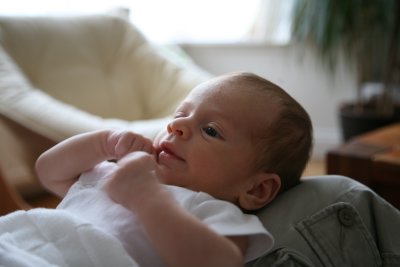 g1/45/943645/3/125810444.zw3f5H3P.jpg