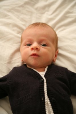 g1/45/943645/3/125810452.18feyvTN.jpg