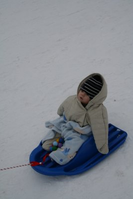 IMG_9516.JPG