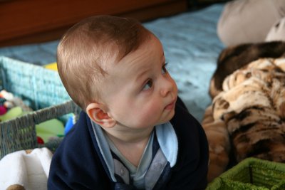 IMG_9890.JPG