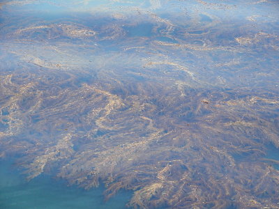 Kelp