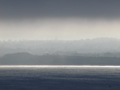 Morning Light