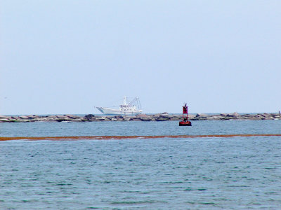 jetty_shrimper.jpg