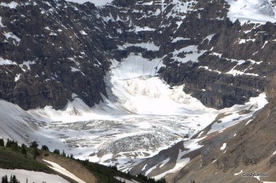 Saskatchewan Glacier from Parker Trailhead