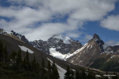 Saskatchewan Glacier from Parker Trail