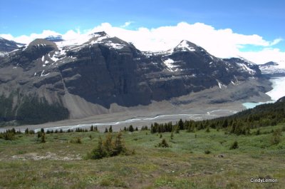 Saskatchewan Glacier 2