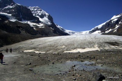 Athabasca Glacier 2