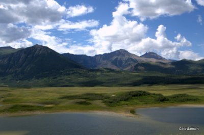 Buffalo Compound at Waterton Lakes