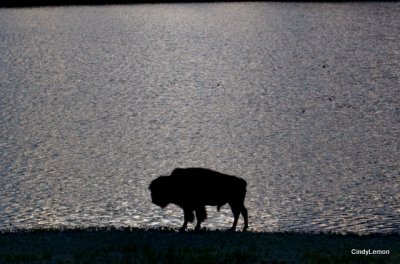 Waterton Lakes National Park