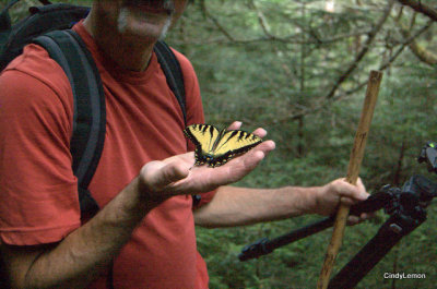 Rich taming the wild butterfly