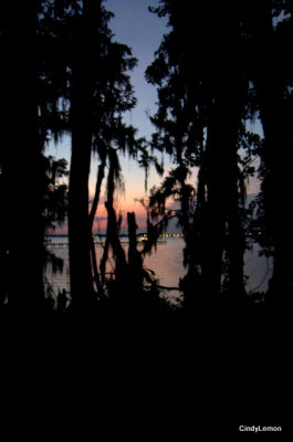 Sunset on the St Johns River 11