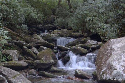 Chimney Tops Trail 10