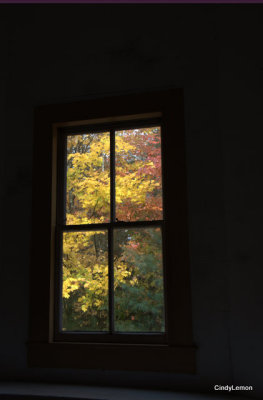 Window VIew 2