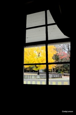 View through Window of Gregg-Cable House