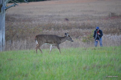 Another view of Rich and the Doe