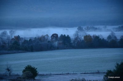Frosty Cove Morning 3