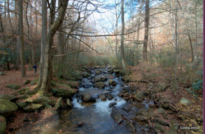 Jones Gap State Park