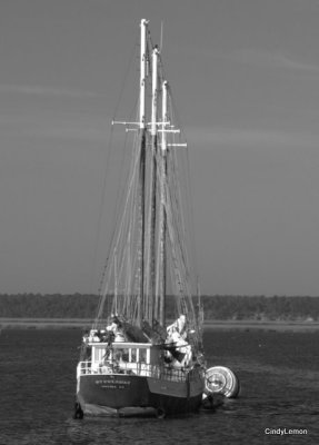 Sailboat on Cumberland Sound in Saint Marys