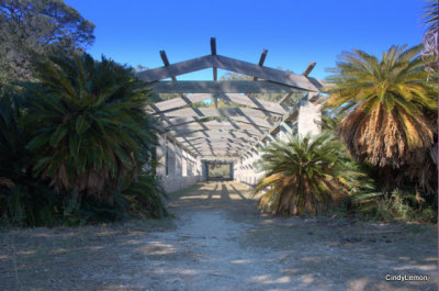 Arbor on the Dungeness Mansion