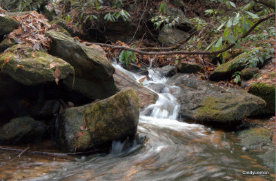 Toms Creek Falls