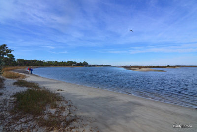 Cedar Key Florida - Cemetery Point Park 5