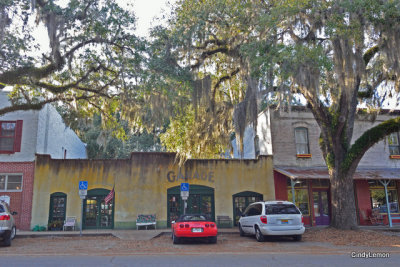 Micanopy Florida 4