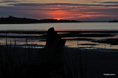 Merritt Island National Wildlife Refuge - Sunset