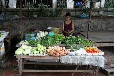Health For Sale....Literally (North Central Laos)