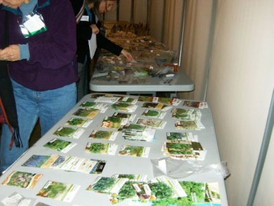 Seeds arrayed by type -- annuals, edibles, perennials, woody plants