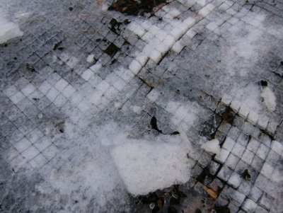 The plastic netting used to keep the squirrels out of the flower beds was heated by the sun and cut through the ice!
