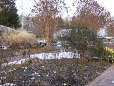 Winter landscape