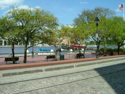 Tug boat on the river!