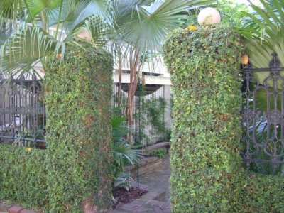 The next garden -- vine covered entryway