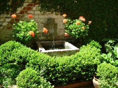 Water feature with boxwood and wonderful geraniums