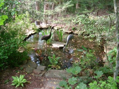 A hidden pond with statues