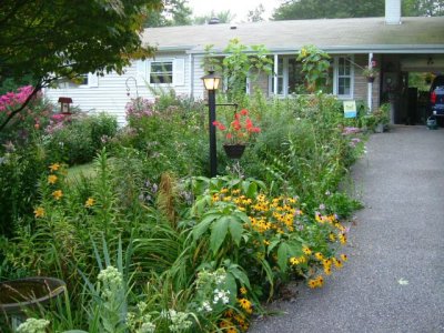 The front bed post daylilies and oriental lilies...