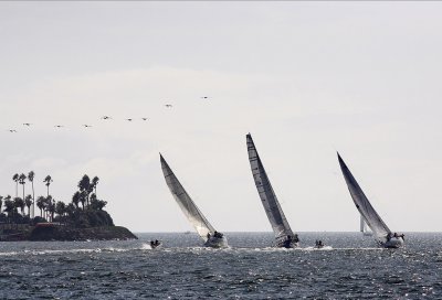 Long Beach to Cabo 2010 - 300mm