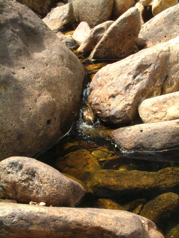 DSCF0078.jpg