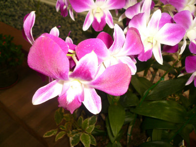 g1/46/358246/3/104176857.hqIneV0L.jpg