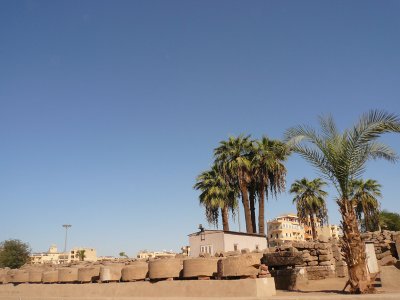 g1/46/358246/3/104197815.z7lkIAbE.jpg