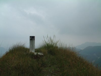nWΤq